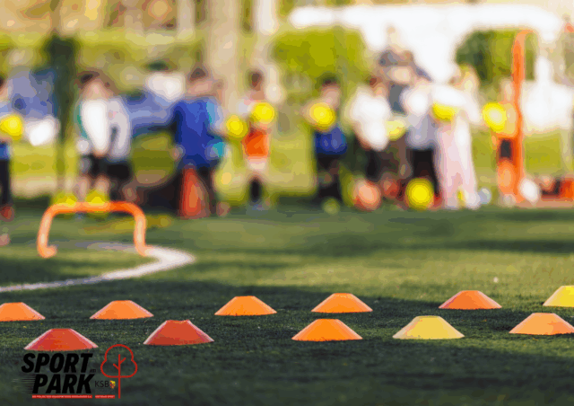 Kindersport - Sport im Park - Kreissportbund Nordhausen Kindersport - Sport im Park - Kreissportbund Nordhausen