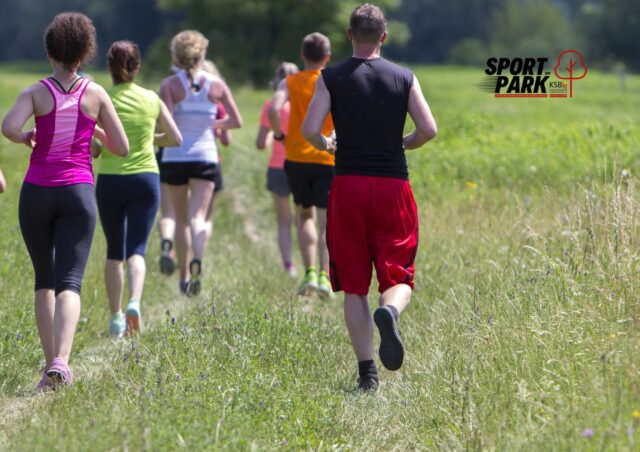 Sport im Park NEWS-Titelbild Homepage